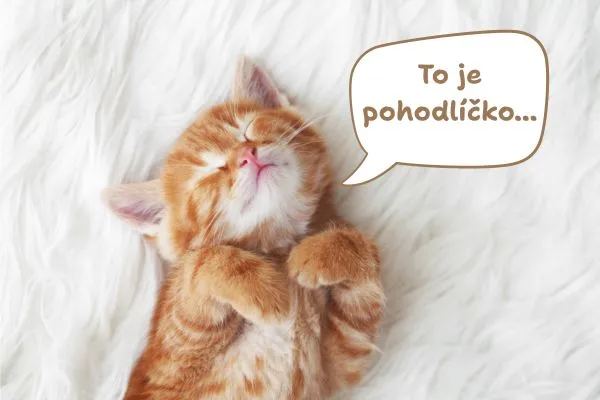 To je pohodlíčko