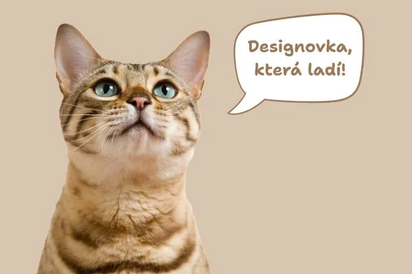 Designovka, která ladí
