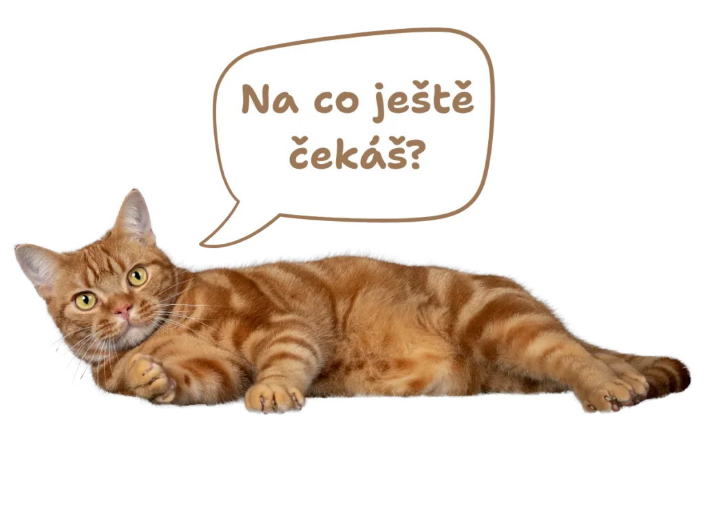 Na co ještě čekáš