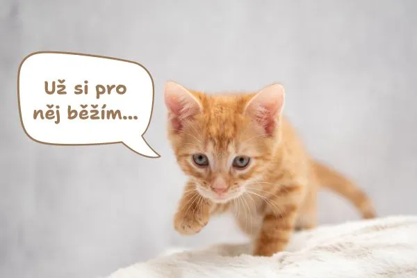 Už si pro něj běžím