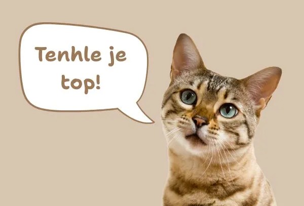 Tenhle je top